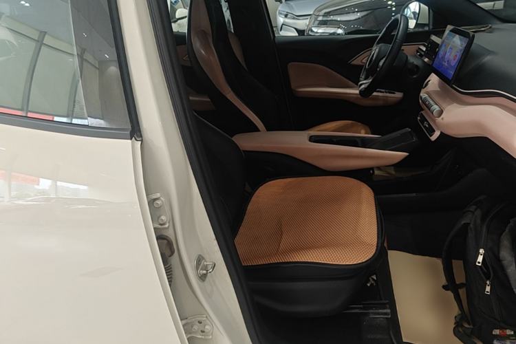Used BYD Seagull 2023 Free Edition Right Front Seat