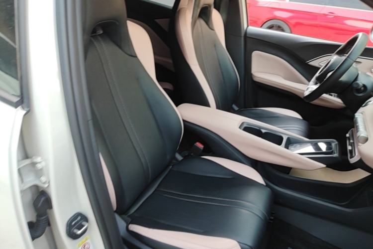 Used BYD Seagull 2023 Flying Edition Right Front Seat