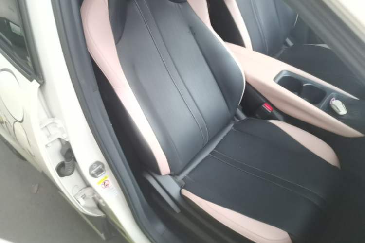 Used BYD Seagull 2023 Flying Edition Right Front Seat