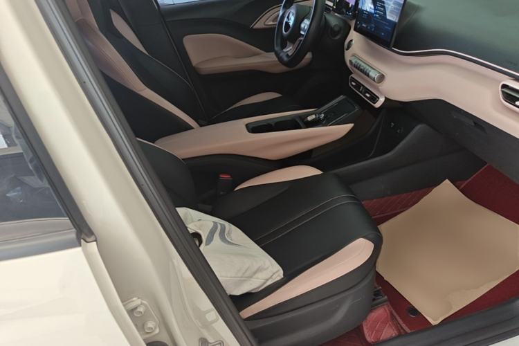 Used BYD Seagull 2023 Flying Edition Right Front Seat