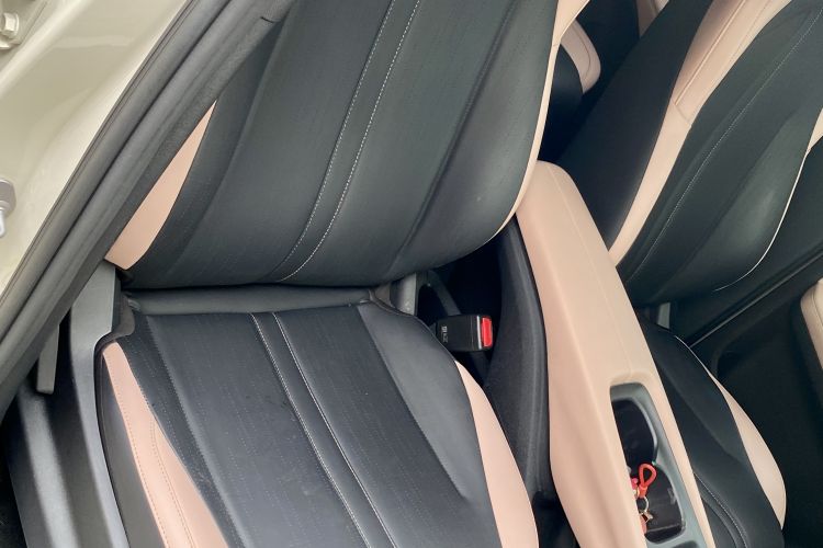 Used BYD Seagull 2023 Flying Edition Right Front Seat