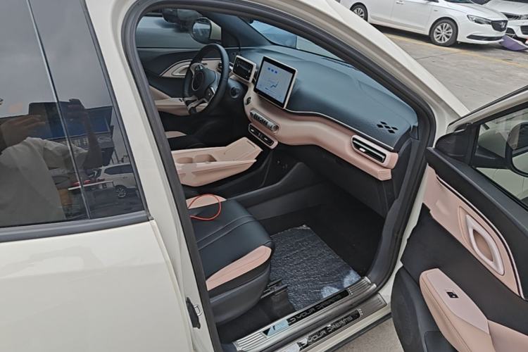 Used BYD Seagull 2023 Free Edition Right Front Seat