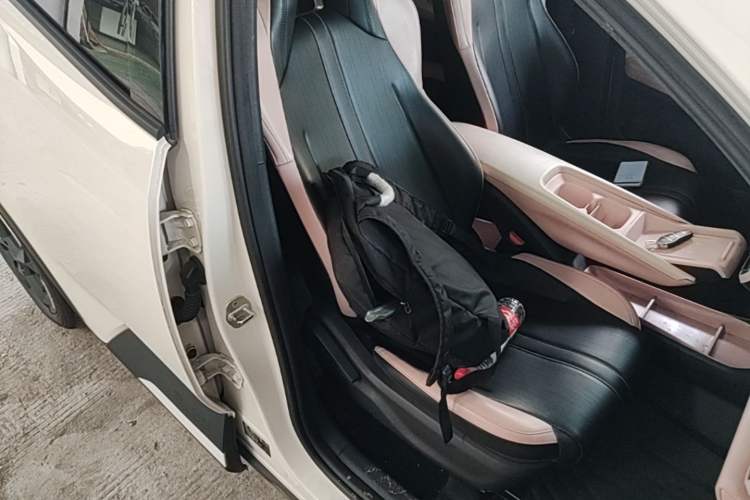 Used BYD Seagull 2023 Free Edition Right Front Seat