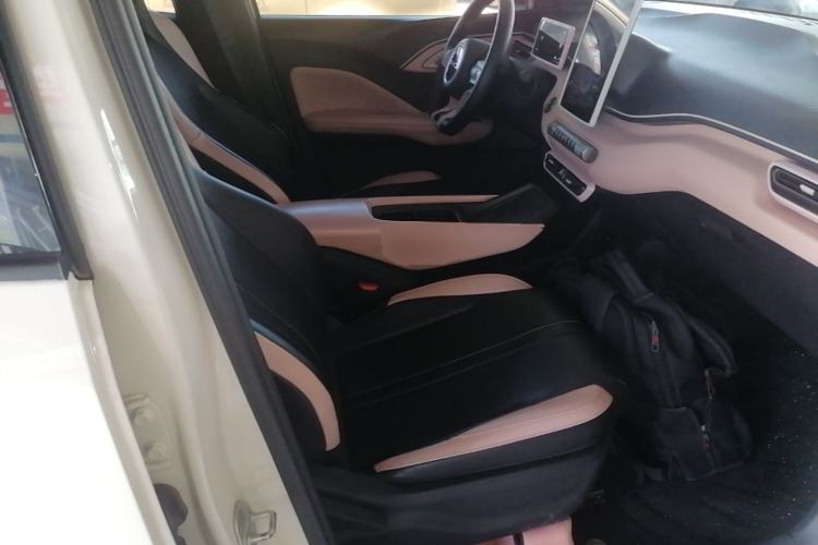 Used BYD Seagull 2023 Free Edition Right Front Seat