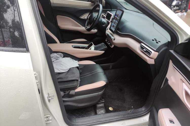 Used BYD Seagull 2023 Free Edition Right Front Seat