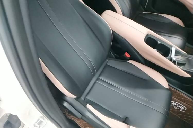 Used BYD Seagull 2023 Free Edition Right Front Seat