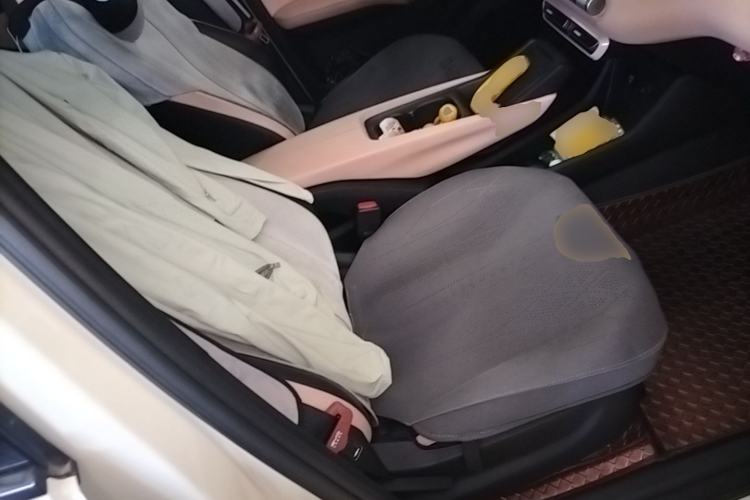 Used BYD Seagull 2023 Flying Edition Right Front Seat