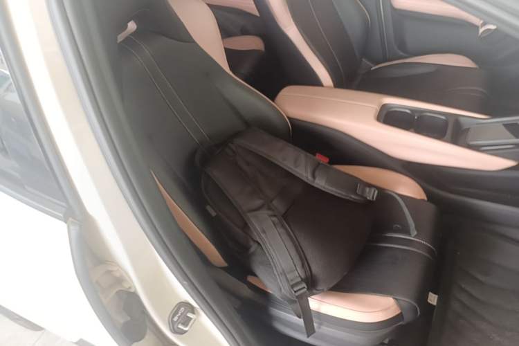 Used BYD Seagull 2023 Free Edition Right Front Seat