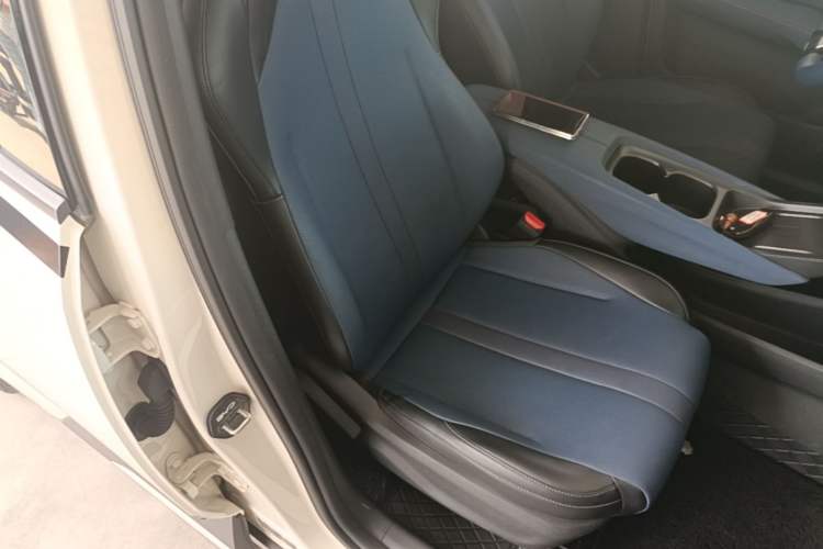 Used BYD Seagull 2023 Free Edition Right Front Seat