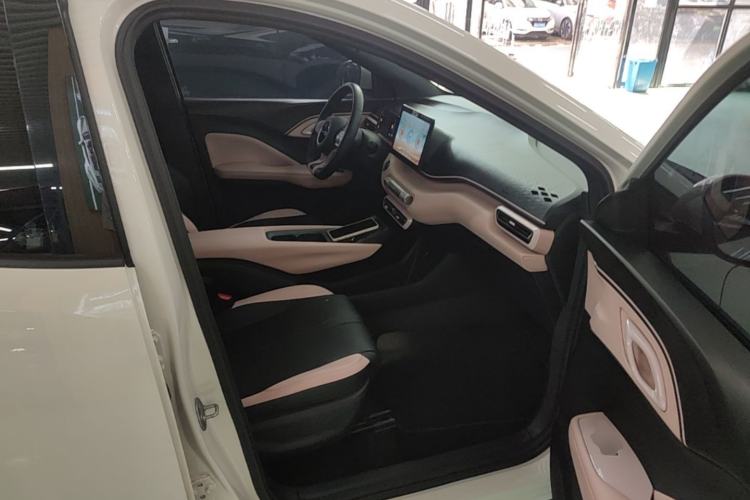 Used BYD Seagull 2023 Free Edition Right Front Seat