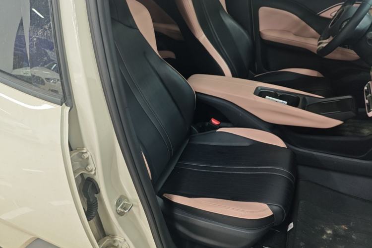 Used BYD Seagull 2023 Free Edition Right Front Seat