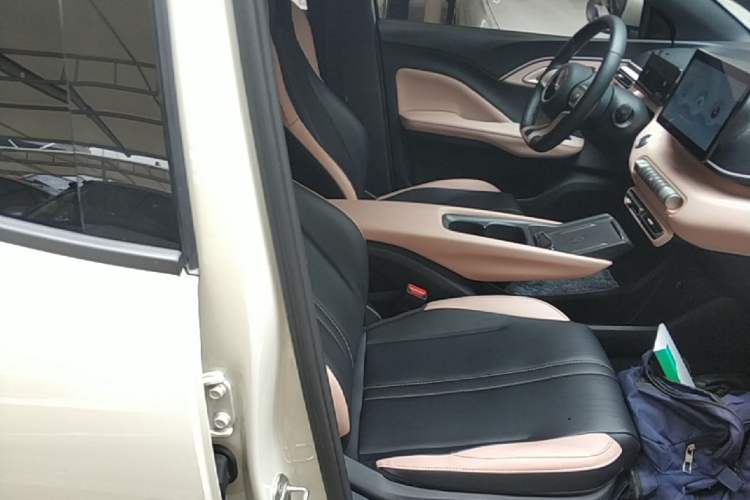 Used BYD Seagull 2023 Free Edition Right Front Seat
