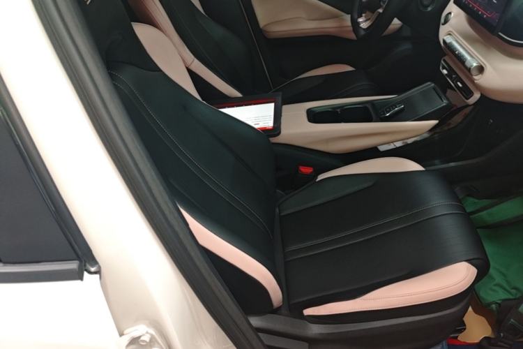 Used BYD Seagull 2023 Active Version Right Front Seat