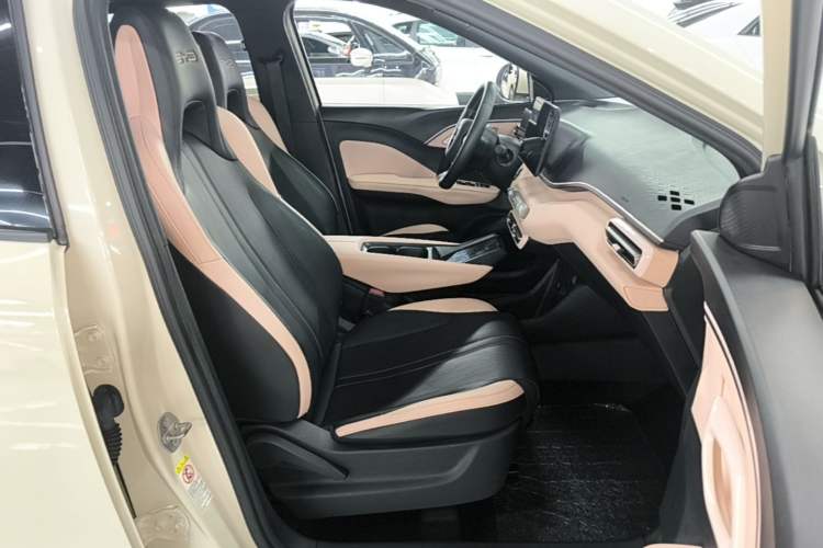 Used BYD Seagull 2023 Flying Edition Right Front Seat