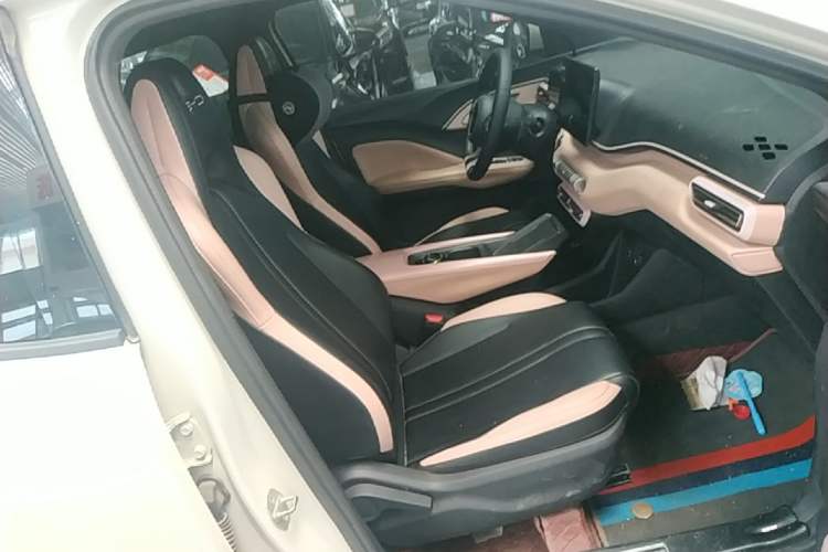 Used BYD Seagull 2023 Free Edition Right Front Seat
