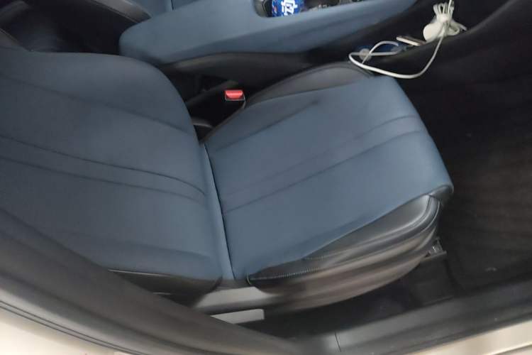 Used BYD Seagull 2023 Free Edition Right Front Seat
