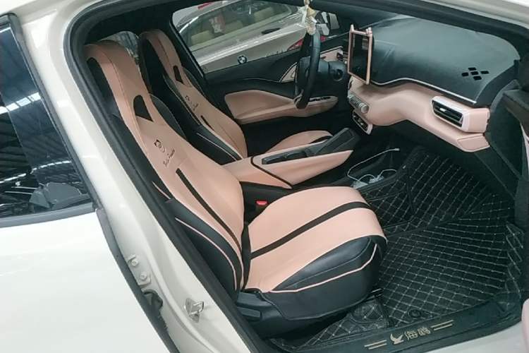 Used BYD Seagull 2023 Free Edition Right Front Seat