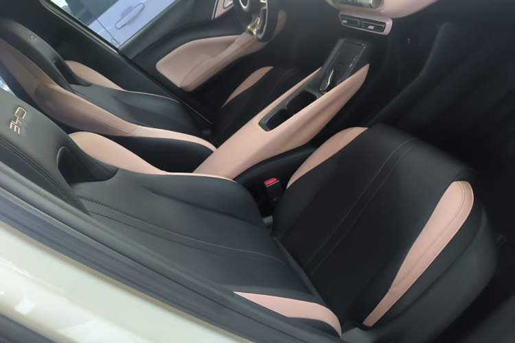 Used BYD Seagull 2023 Flying Edition Right Front Seat