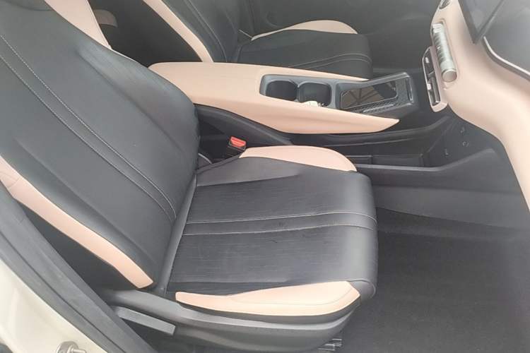 Used BYD Seagull 2023 Free Edition Right Front Seat