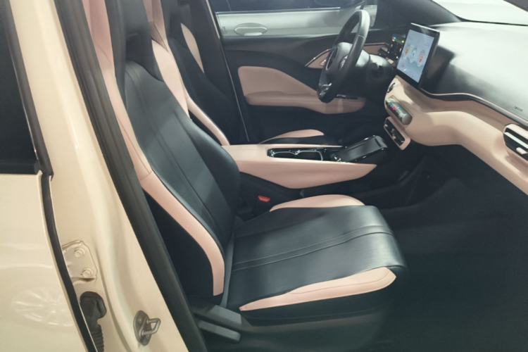 Used BYD Seagull 2023 Free Edition Right Front Seat