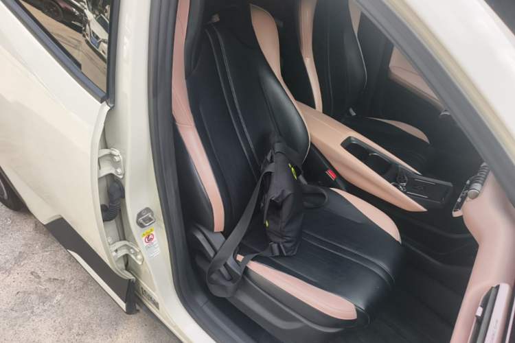 Used BYD Seagull 2023 Flying Edition Right Front Seat