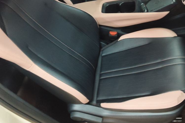 Used BYD Seagull 2023 Free Edition Right Front Seat