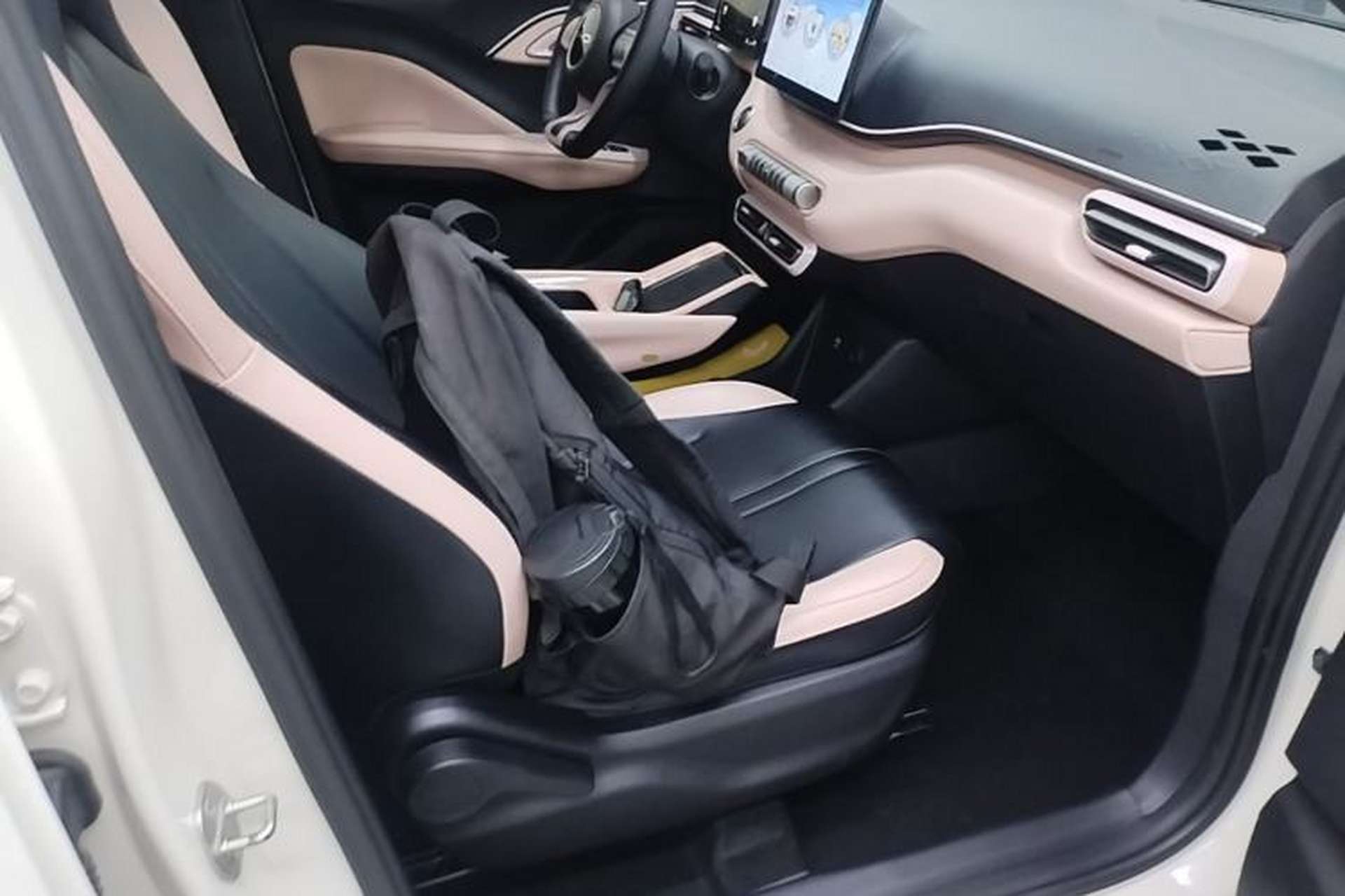 Used BYD Seagull 2023 Free Edition Right Front Seat