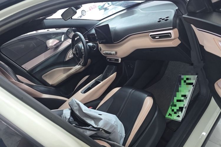 Used BYD Seagull 2023 Flying Edition Right Front Seat