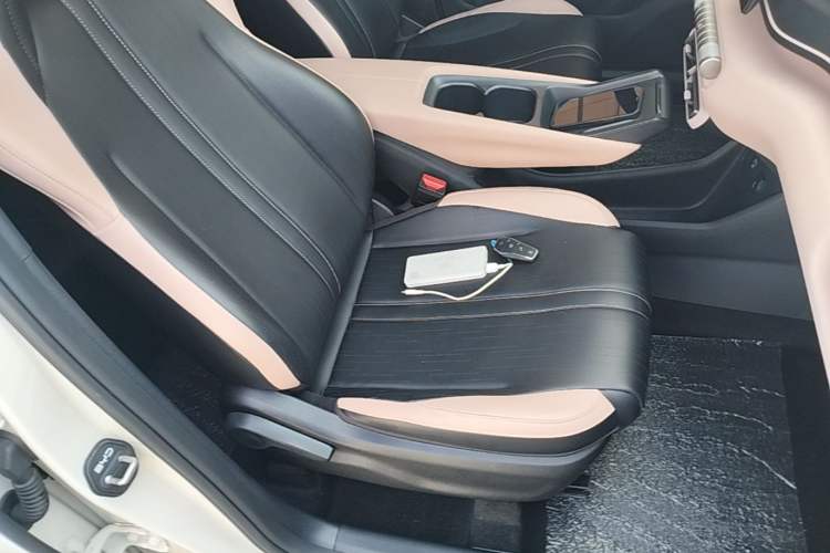 Used BYD Seagull 2023 Free Edition Right Front Seat