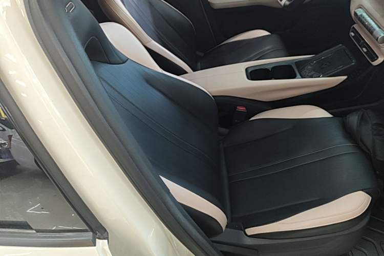 Used BYD Seagull 2023 Flying Edition Right Front Seat