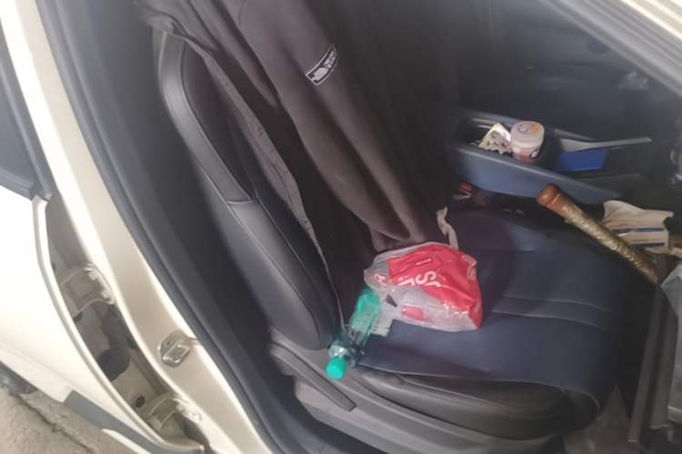Used BYD Seagull 2023 Free Edition Right Front Seat