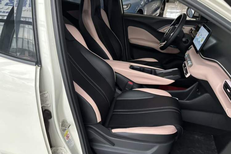 Used BYD Seagull 2023 Flying Edition Right Front Seat