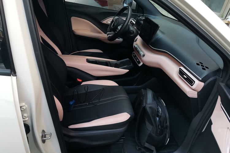 Used BYD Seagull 2023 Free Edition Right Front Seat
