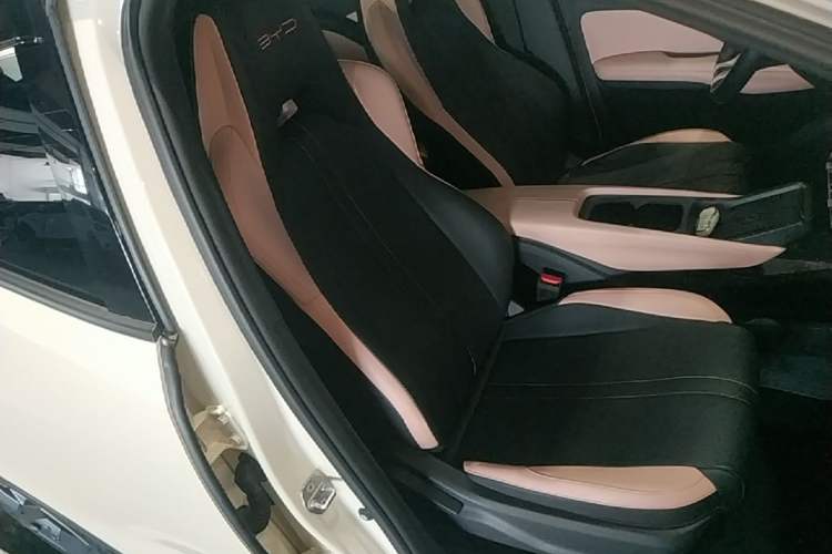 Used BYD Seagull 2023 Free Edition Right Front Seat