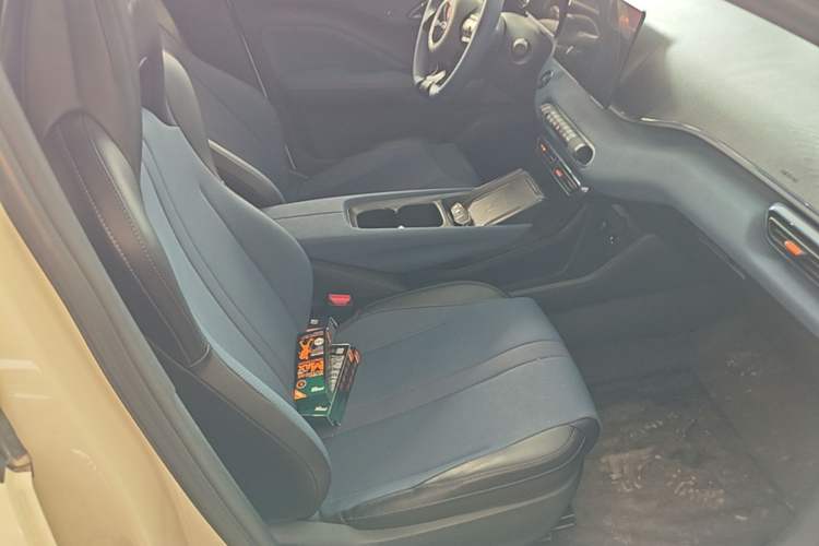 Used BYD Seagull 2023 Free Edition Right Front Seat