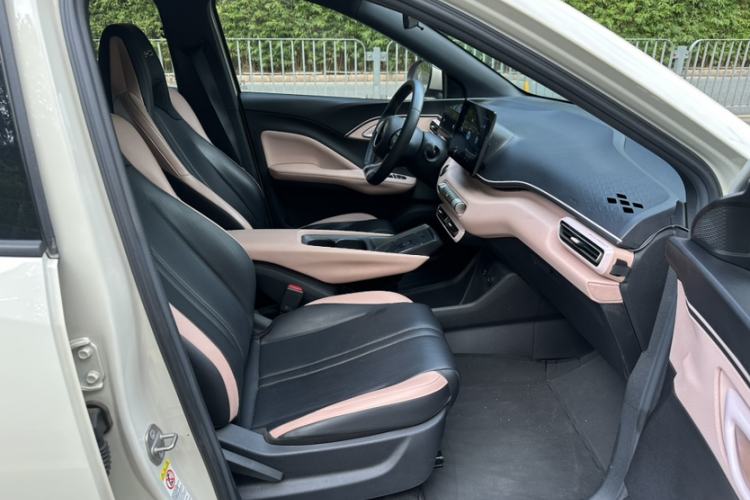 Used BYD Seagull 2023 Flying Edition Right Front Seat