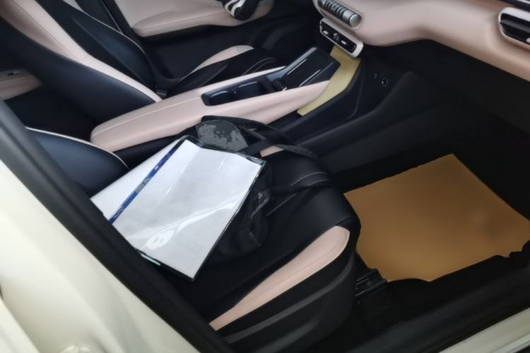 Used BYD Seagull 2023 Flying Edition Right Front Seat