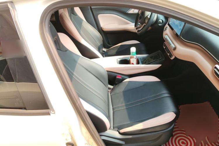 Used BYD Seagull 2023 Flying Edition Right Front Seat