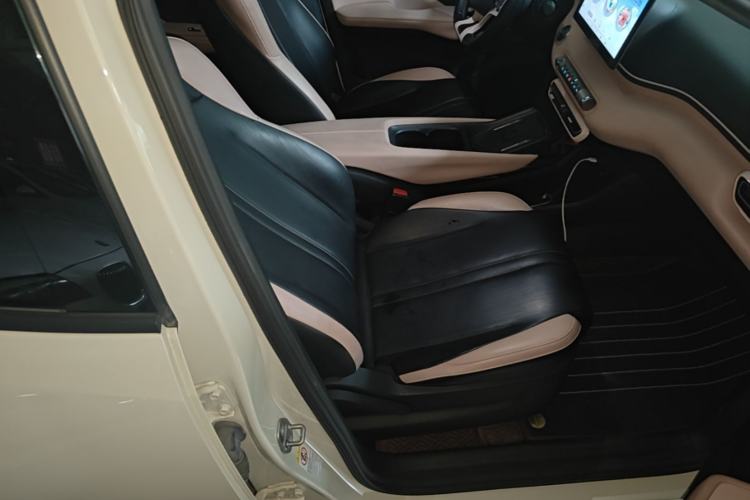 Used BYD Seagull 2023 Flying Edition Right Front Seat