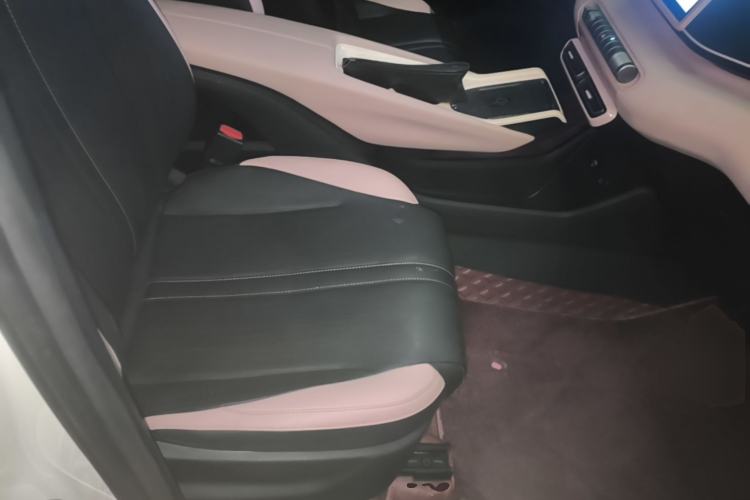 Used BYD Seagull 2023 Flying Edition Right Front Seat