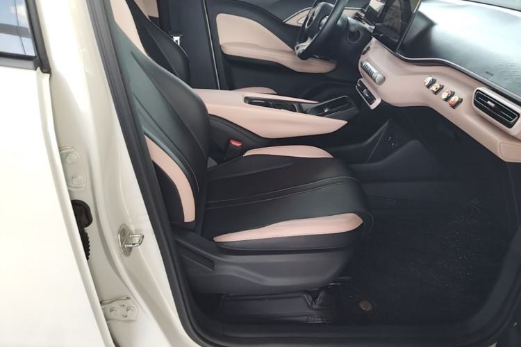 Used BYD Seagull 2023 Free Edition Right Front Seat