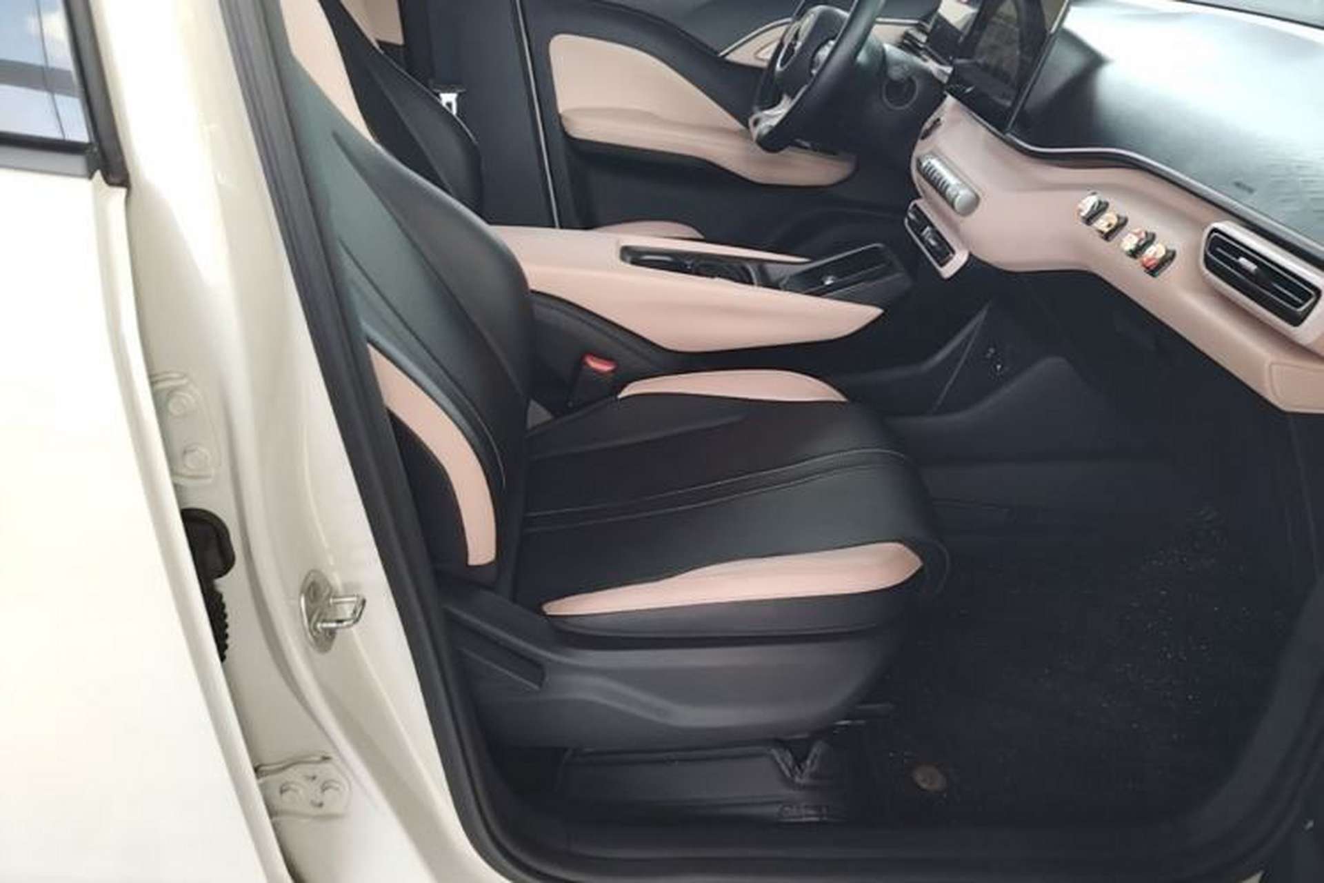 Used BYD Seagull 2023 Free Edition Right Front Seat