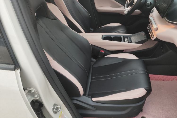 Used BYD Seagull 2023 Flying Edition Right Front Seat