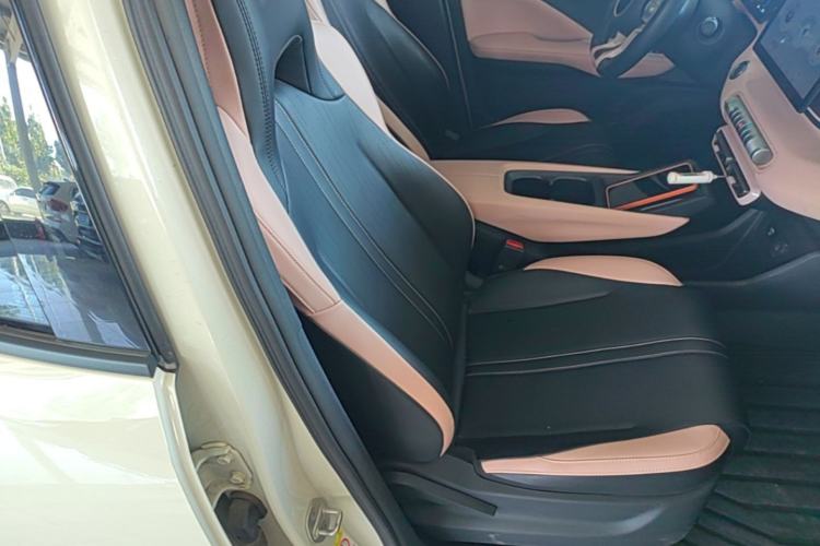 Used BYD Seagull 2023 Flying Edition Right Front Seat