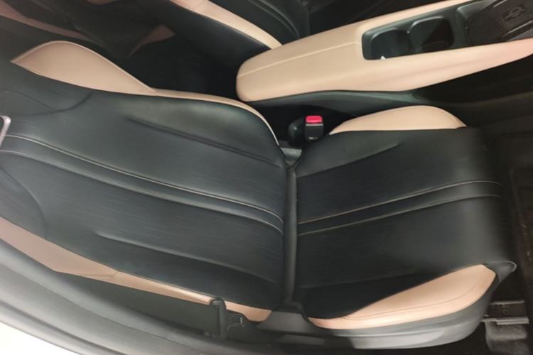 Used BYD Seagull 2023 Flying Edition Right Front Seat