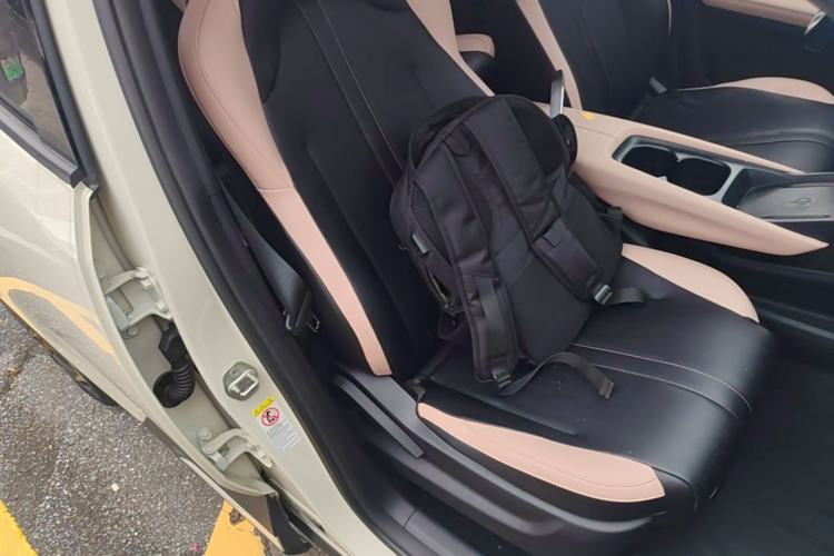 Used BYD Seagull 2023 Flying Edition Right Front Seat