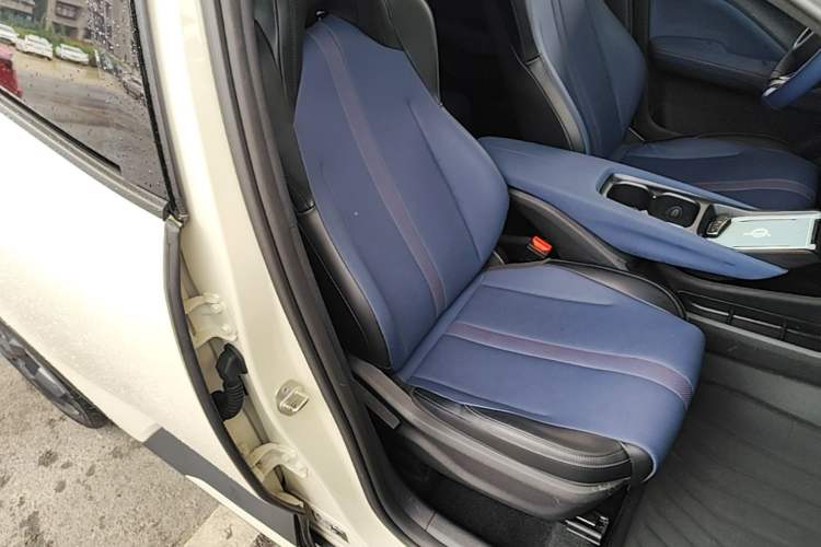 Used BYD Seagull 2023 Free Edition Right Front Seat