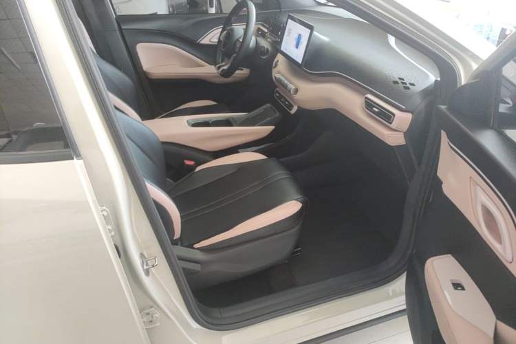Used BYD Seagull 2023 Free Edition Right Front Seat