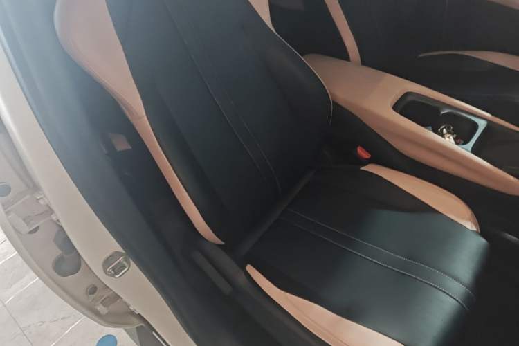 Used BYD Seagull 2023 Free Edition Right Front Seat
