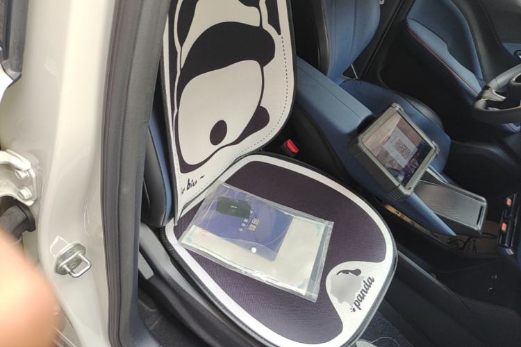 Used BYD Seagull 2023 Active Version Right Front Seat
